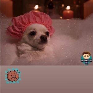 Meet your Posher, Alejandra